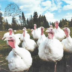 Turkey - Rosey Cheeks (feat. Alice Glass)