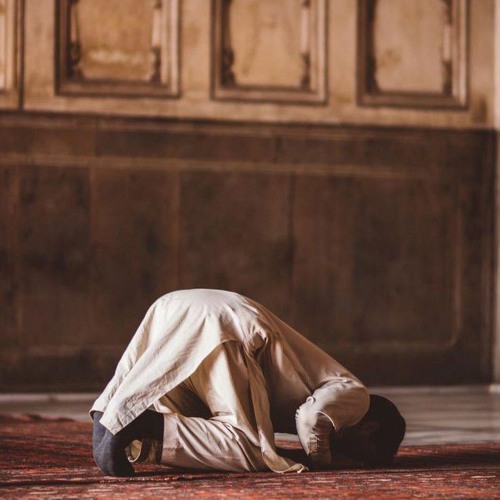 تِلاوة نَدِيَّة مُؤنِسة.