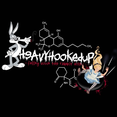 14.Down the Rabbit Hole01