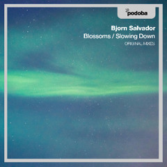 Bjorn Salvador - Blossom [Podoba]