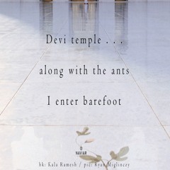 halF devI [naviarhaiku356]