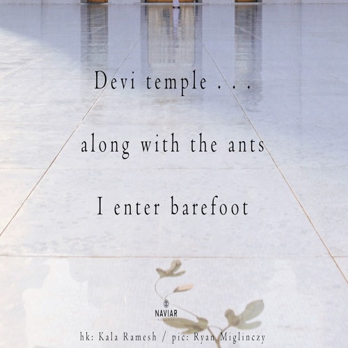 halF devI [naviarhaiku356]