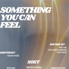 Live @ S.Y.C.F. (SOST DC - Feb. 2025)