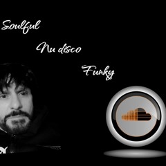 Soulful#Nu Disco#Funky
