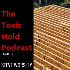 EP 116: Mold Sickness and Wood Foundations