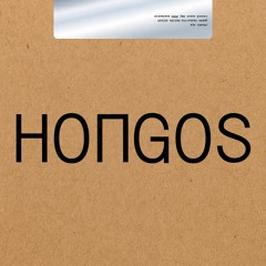 Hongos