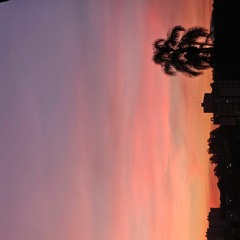 Ferz Sunset Mix II