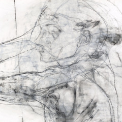 PREMIERE: Mike Parker - Lustration Eleven (Sarychev) [Field Records]