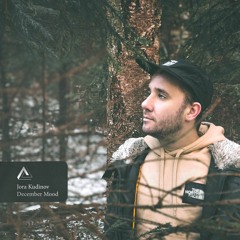 Jora Kudinov - December Mood