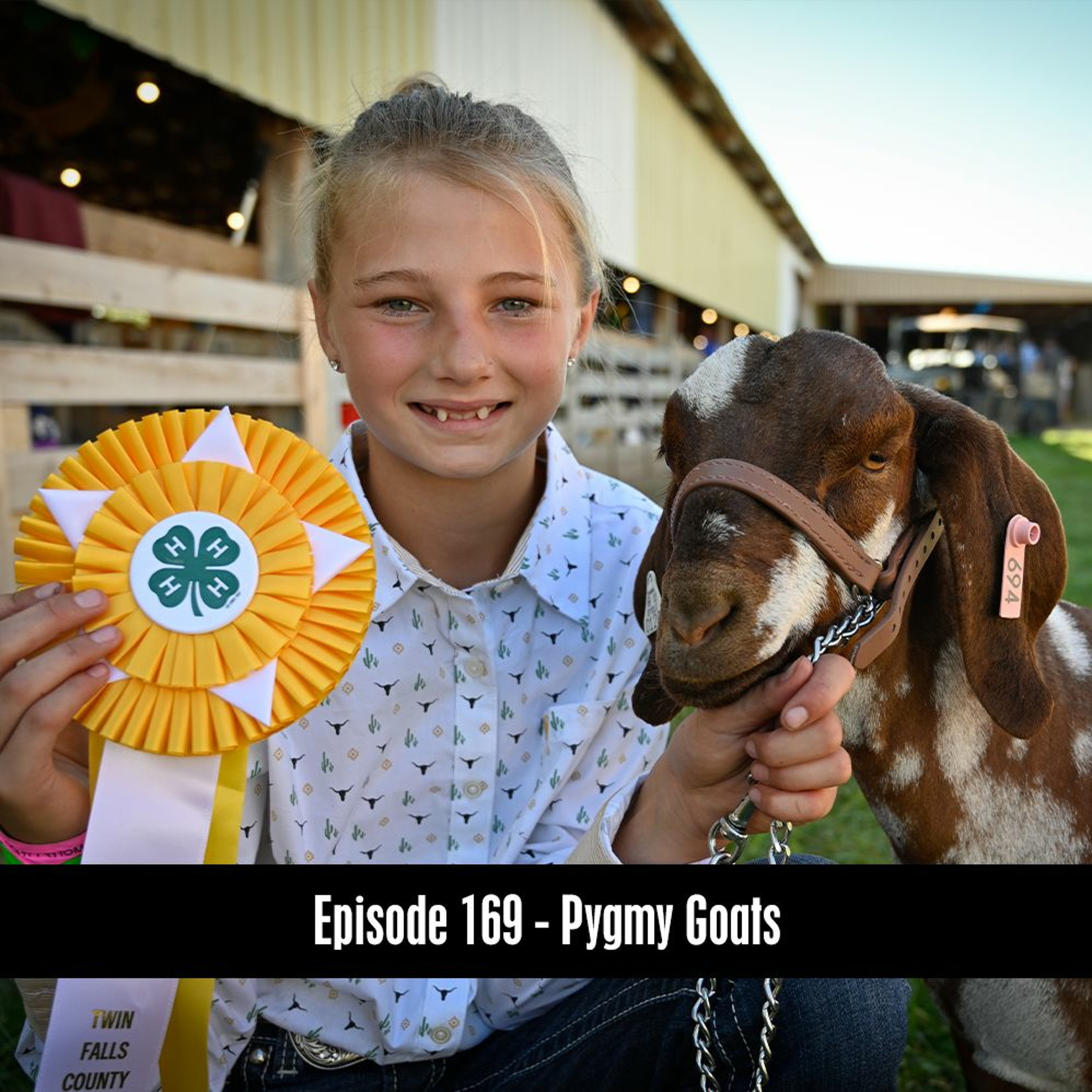 Episode 169 - Pygmy Goats