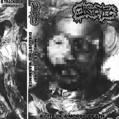 INFEFCTED BY DISGUSTING HUMAN MITES
