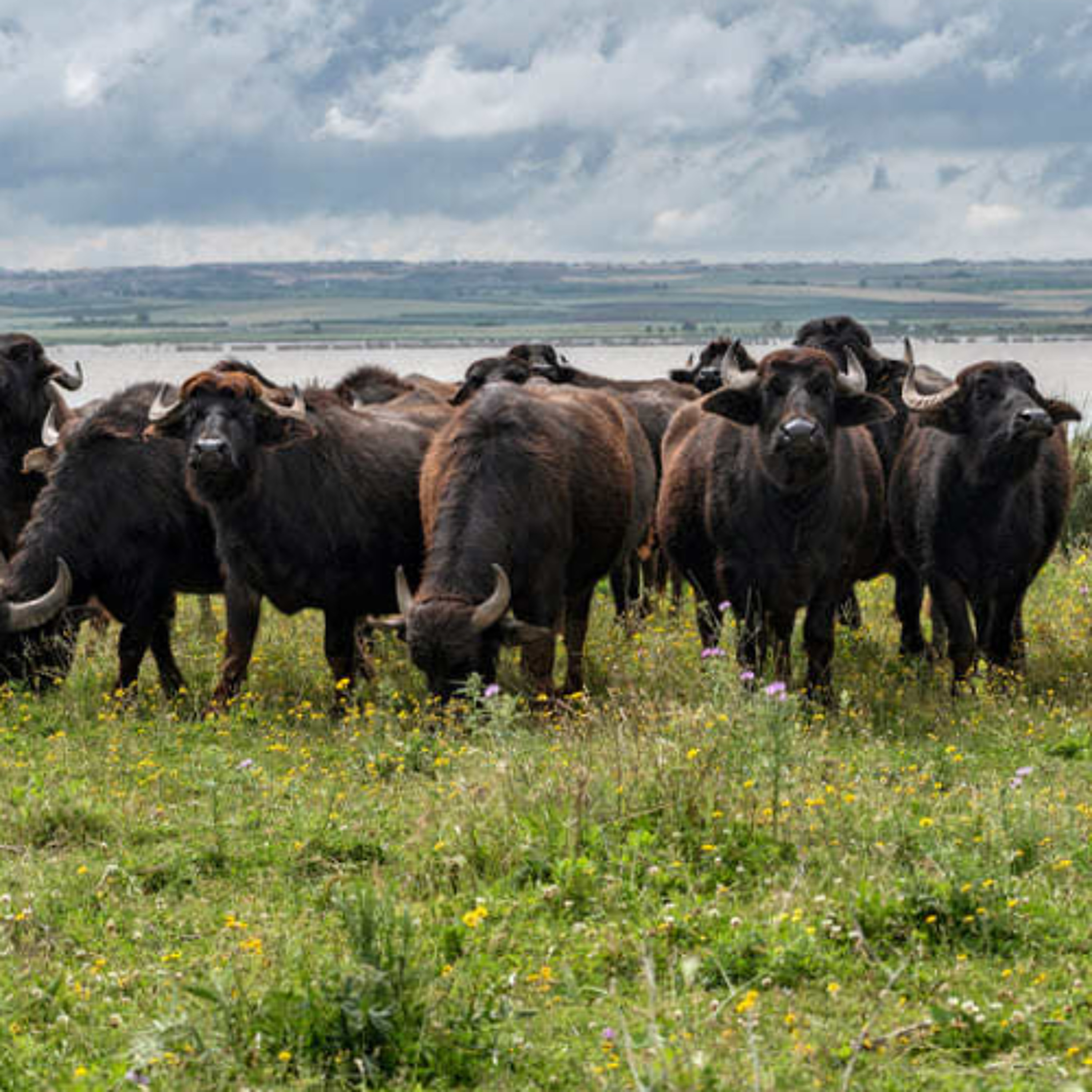 awanderingsky / skyrockstudio