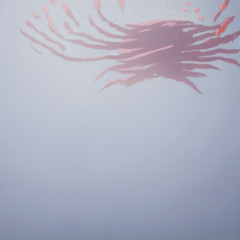 official nice art - floating noodle