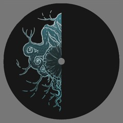 Premiere: Hannd - Heptapod