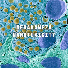 Nanotoxicity (Electro/Breaks)
