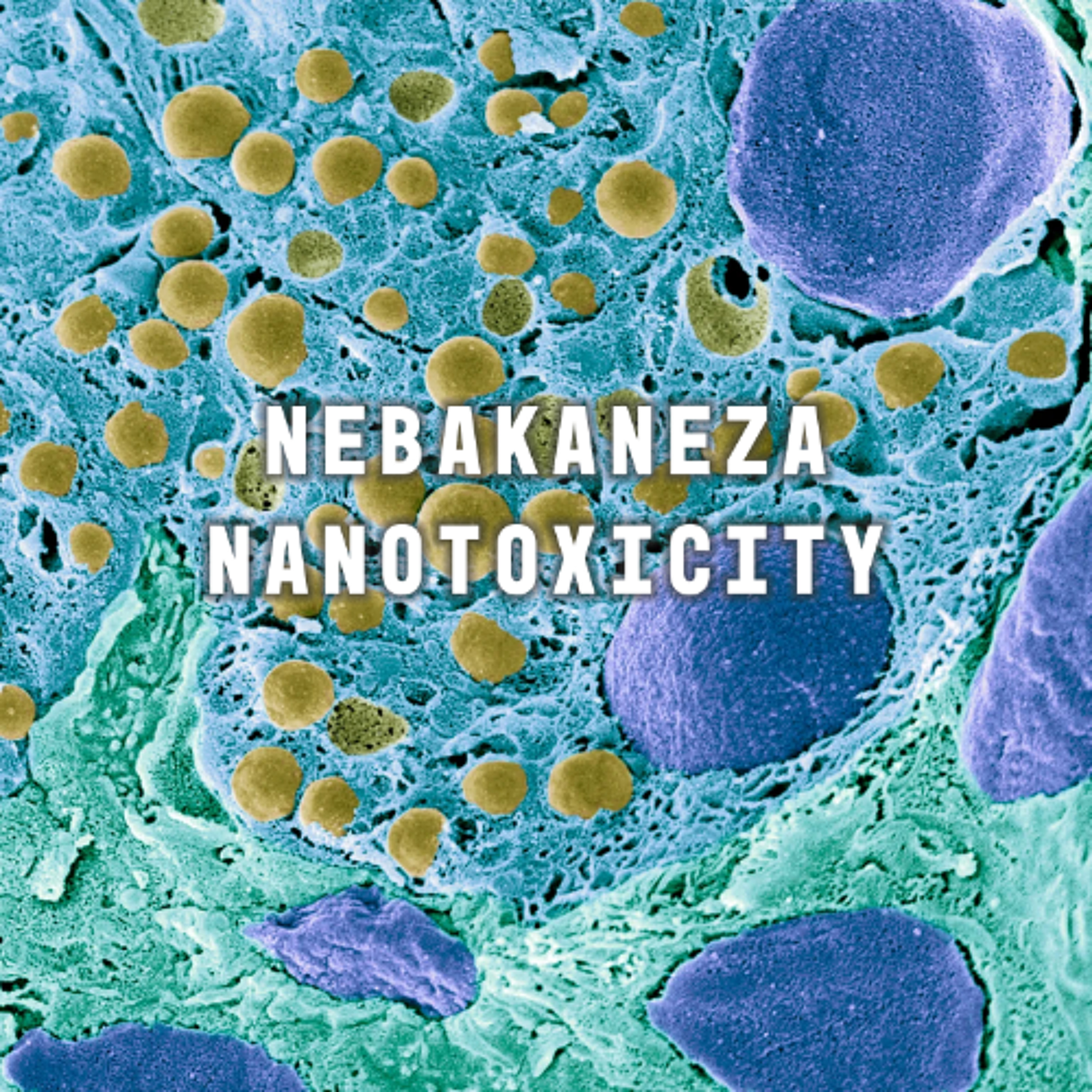 Nanotoxicity (Electro/Breaks) episode artwork
