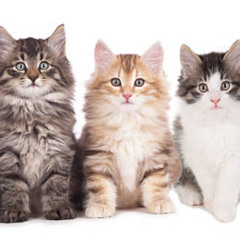 GIVE IT UP w/ chompchains and h4zmatzz (breakupbreakdown)