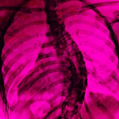 *ੈ✩‧₊˚༺☆goinfresqeuh☆༻*ੈ✩‧₊˚