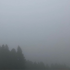 tei hikou