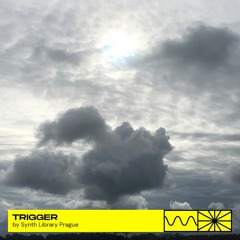 Trigger 10/23 by Synth Library Prague