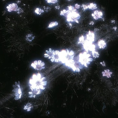 malzaar - take it (@LUKARAJHL)