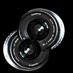 Through The Lens