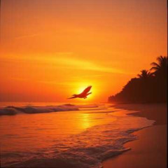 XXX-Sunset Reverie
