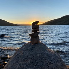 BoVibes