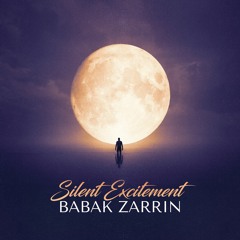 Babak Zarrin - Silent Excitement | بابک زرین - هیجان خاموش