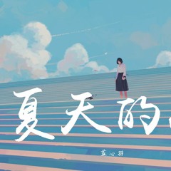 蓝心羽 - 夏天的风【動態歌詞/Lyrics Video】