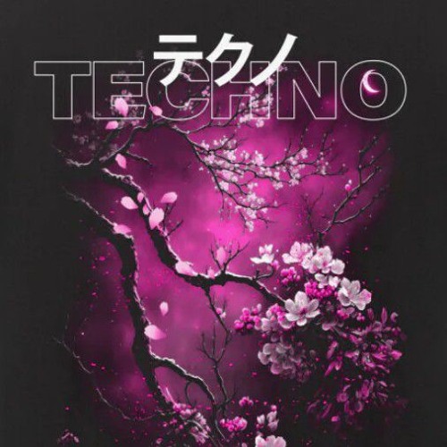 HARD TECHNO INSANITY