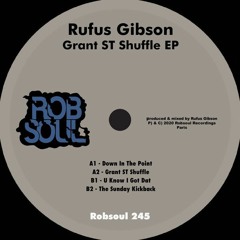Rufus Gibson - Down In The Point [Robsoul] [MI4L.com]