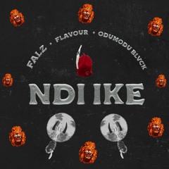 NDI IKE