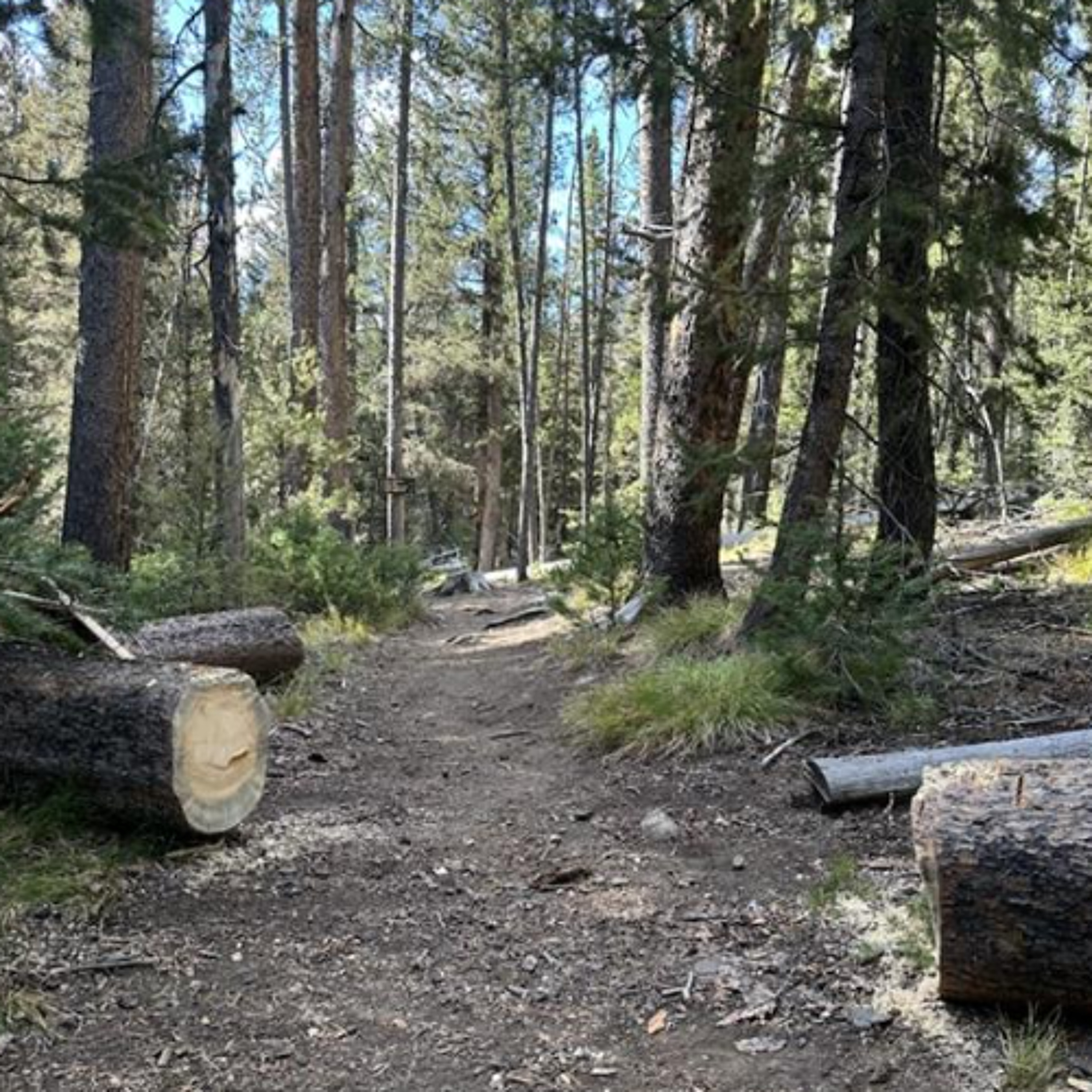 U.S. Forest Service provides trail maintenance in Salmon Challis area episode artwork