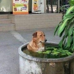 the eshan chow experience season 2