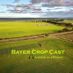 Bayer CropCast Episode 20 - Alion Ag Fencelines