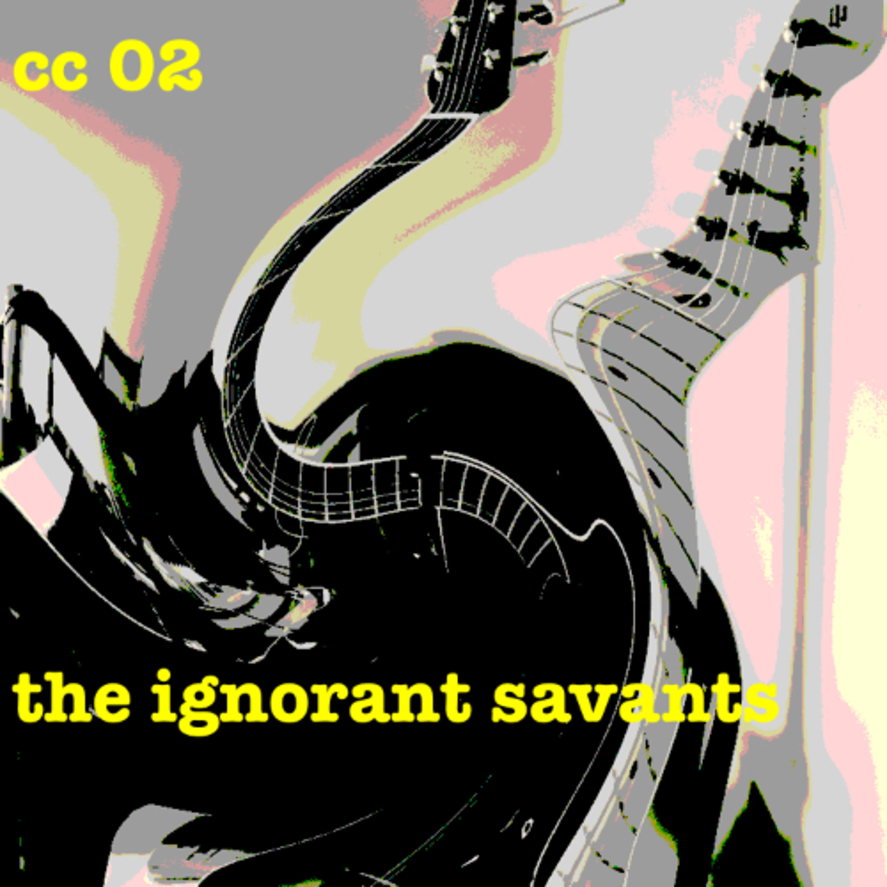 the ignorant savants