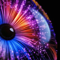 Second set 09/2023 A year is quick