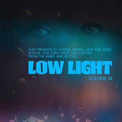 DJLP - Low Light Vol.14
