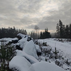 febstrings_04_ver.wav