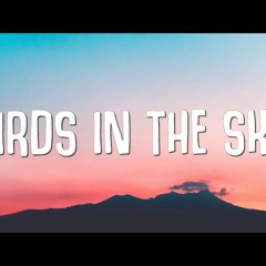 Birds In The Sky DJ - REEPER Donk Remx