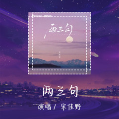 宋佳野 - 两三句 「不确定过了多久有些事总是能够一眼就看到尽头」【動態歌詞/pīn yīn gē cí】