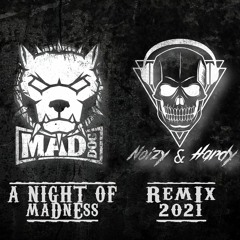 DJ Mad Dog - A Night Of Madness (Noizy & Hardy 2021 Remix)