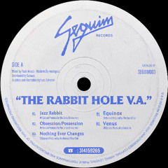PREMIERE: Alex Garcia & Vince Void - Jazz Rabbit [Seguim Records]