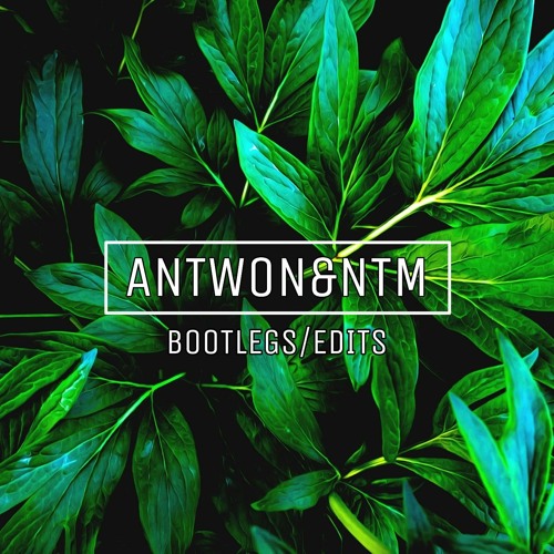Davide Mazzilli vs Wongo - Dance All Day Put Your Hands Up (ANTWON&NTM EDIT)