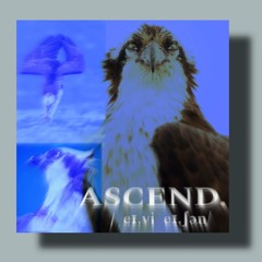 The Osprey's Ascent