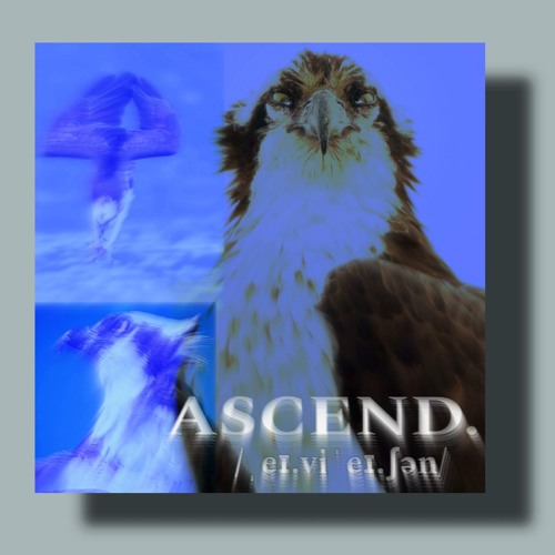 The Osprey's Ascent