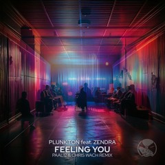 Plunk.ton feat. Zendra - Feeling You (Paal12 & Chris Wach Remix)