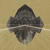 Artwork for Don't Go Awash in This Digital Landscape / Yourcodenameis:milo