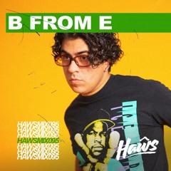 HAWSMIX095 / B From E